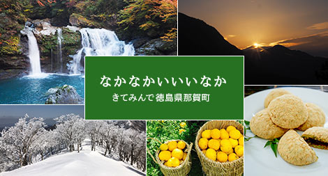 なかなかいいいなか　きてみんで徳島県那賀町